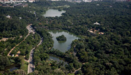 Imagens da Cidade de São Paulo e Zoológico da Capital Paulist