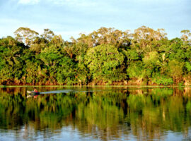 Amazonia