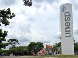 Unesp Bauru