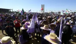 margaridas_mcmgo_abr_14081920635