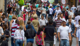 20250516_populacao_diversidade