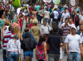 20250516_populacao_diversidade