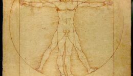 Da_Vinci_Vitruve_Luc_Viatour