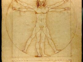 Da_Vinci_Vitruve_Luc_Viatour