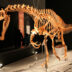 Irritator_challengeri_mount_01