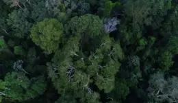 Crédito: Divulgação/TV Brasil