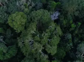Crédito: Divulgação/TV Brasil