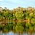 Amazonia (2)