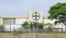 Bayer_Belford_Roxo