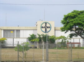 Bayer_Belford_Roxo