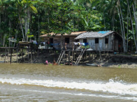 Workshop com jornalistas sobre o desmatamento na Amazônia