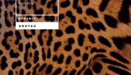 Zuca. Capa2