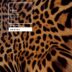 Zuca. Capa2