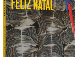 caludia-vera-feliz-natal