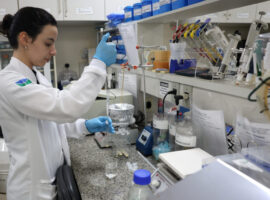 Embrapa imprime comida vegana em laboratório