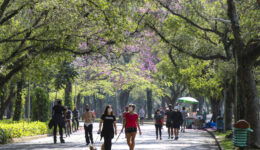 Lazer no Parque do Ibirapuera após a flexibilização do isolamento social durante a pandemia de covid-19.
