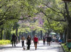 Lazer no Parque do Ibirapuera após a flexibilização do isolamento social durante a pandemia de covid-19.