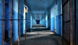 Galeria-scaled
