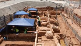 Sítio Saracura - Crédito Mobiliza Saracura Vai-Vai