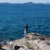 Projeto monitora o ecossistema dos costões rochosos em Arraial