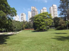 Parque_Burle_Marx_12