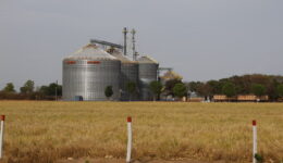 Desmatamento do cerrado e crise hídrica no Maranhão
