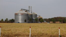 Desmatamento do cerrado e crise hídrica no Maranhão
