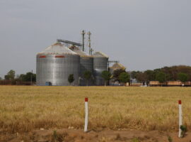 Desmatamento do cerrado e crise hídrica no Maranhão