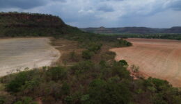 Desmatamento do cerrado e crise hídrica no Maranhão