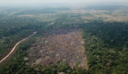 Não existe justiça climática sem paz