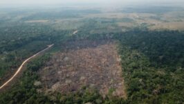 Não existe justiça climática sem paz