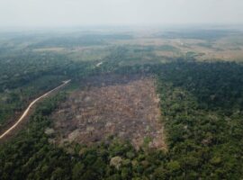 Não existe justiça climática sem paz