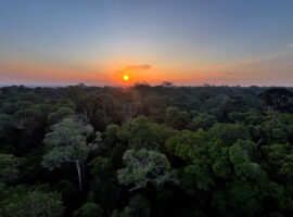 Turismo e crise climática: os caminhos sustentáveis para a Ama