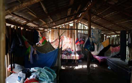 Restinga de Maricá é o foco de um conflito socioeconômico e a