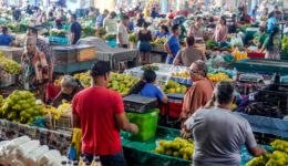 Entre o excesso e o direito à alimentação