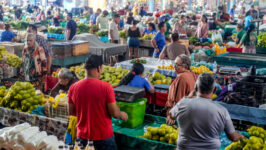 Entre o excesso e o direito à alimentação