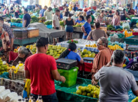 Entre o excesso e o direito à alimentação