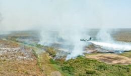 31.07.2024 - Sobrevoo de áreas incendiadas em Corumbá