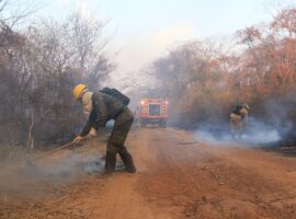 Ações_de_combate_aos_incêndios_florestais_no_Pantanal_-_2024_(53908842590)