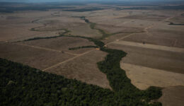 Pag20_Le_Monde_Edicao_231_Financerização_da_natureza_Foto_Bruno_Kelly_Amazonia_Real_Flickr