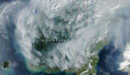 Peatland_Fires_Darken_Skies_in_Indonesia_(1283342_-_s_amo_20260901) (1)