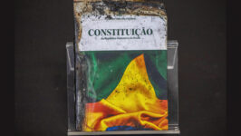 Constituição queimada
